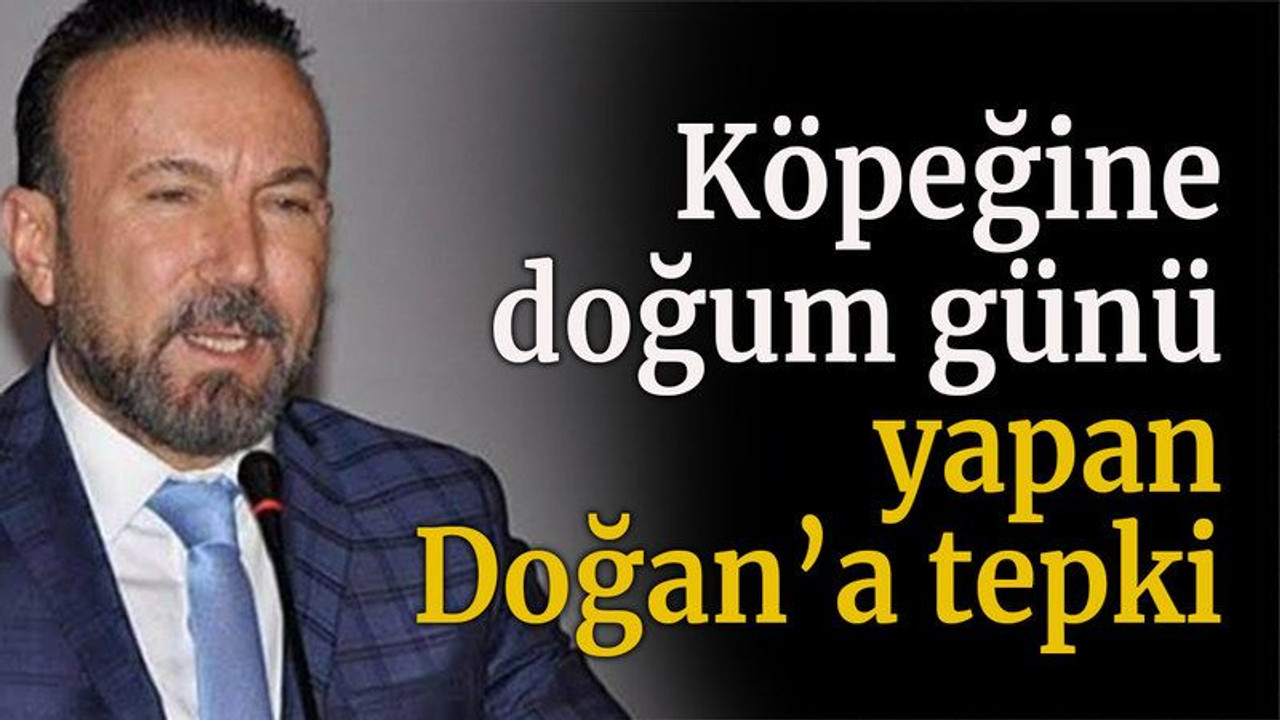 Köpeğine doğum günü yapan Doğan’a tepki
